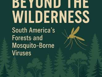 Beyond the wilderness