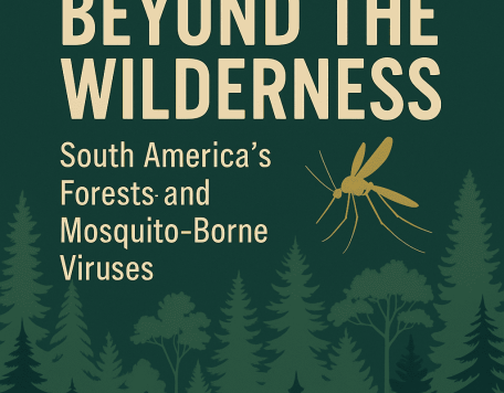 Beyond the wilderness